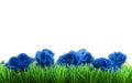 Green grass with blue flowers Royalty Free Stock Photo