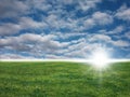 Green grass and blue sky Royalty Free Stock Photo