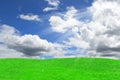 Green grass and blue sky