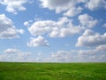 Green grass and blue sky