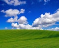 Green grass and blue sky