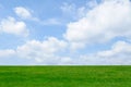 Green Grass, Blue Sky Background Royalty Free Stock Photo