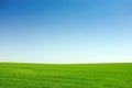 Green grass and blue sky background