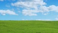 Green Grass and Blue Sky with Clouds