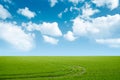 Green grass and blue sky landscape Royalty Free Stock Photo