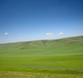 Green grass and blue sky landscape Royalty Free Stock Photo