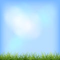 Green grass blue sky natural background