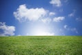 Green grass and blue sky