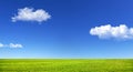 Green grass and blue sky Royalty Free Stock Photo