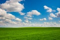 Green grass and blue sky with white clouds Royalty Free Stock Photo