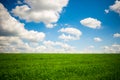 Green grass and blue sky with white clouds Royalty Free Stock Photo