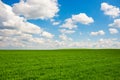 Green grass and blue sky with white clouds