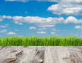 Green grass and blue sky on wood floor background. Royalty Free Stock Photo