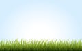 Green Grass Border on blue background Royalty Free Stock Photo