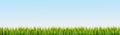 Green grass border on blue sky background Royalty Free Stock Photo