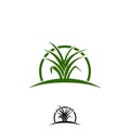 Green Grass Border Clipart