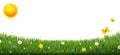 Green Grass Border With Flowers And Sun Isolated White Background Royalty Free Stock Photo