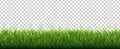 Green Grass Border With Flowers Transparent Background Royalty Free Stock Photo