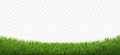 Green Grass Border Isolated Transparent Background Royalty Free Stock Photo