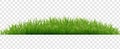 Green Grass Border Isolated Transparent Background Royalty Free Stock Photo