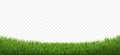 Green Grass Border Isolated Transparent Background
