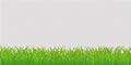 Green Grass Border, Isolated on Transparent Background. Vector I