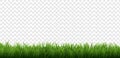 Green Grass Border Isolated Transparent Background Royalty Free Stock Photo