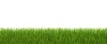 Green Grass Border Panorama Isolated White Background Royalty Free Stock Photo