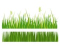 Green grass border plant lawn nature meadow ecology summer gardening vector illustration