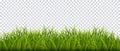 Green grass border. Realistic background. Vector