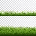 Green grass border set on transparent background. Vector Illustration Royalty Free Stock Photo