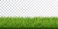 Green grass border set on transparent background. Vector Illustration Royalty Free Stock Photo