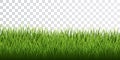 Green grass border set on transparent background. Vector Illustration Royalty Free Stock Photo