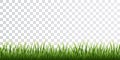 Green grass border set on transparent background. Vector Illustration Royalty Free Stock Photo