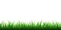 Green grass border set on transparent background. Vector Illustration Royalty Free Stock Photo