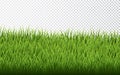 Green grass border set on transparent background. Vector Illustration Royalty Free Stock Photo