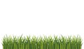 Green grass bottom page panorama frame vector pattern. Fresh summer grass. Graphic illustration Royalty Free Stock Photo