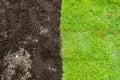 Green Grass and brown Soil Landscape Royalty Free Stock Photo