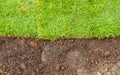 Green Grass and brown Soil Landscape Royalty Free Stock Photo