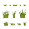 Green grass bushes plant Royalty Free Stock Photo