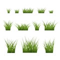 Green grass bushes set plant Royalty Free Stock Photo