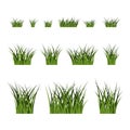 Green grass bushes set plant Royalty Free Stock Photo