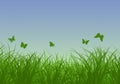 Green grass, butterflies and blue sunny sky spring landscape. Perfect for backgrounds Royalty Free Stock Photo