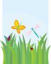 Green grass with butterfly, dragon-fly, beetle and Royalty Free Stock Photo