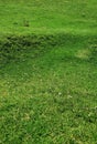 Green grass at Cabana Trei Brazi in Predeal