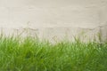 Green grass and cement wall background Royalty Free Stock Photo