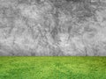 Green grass on cement wall background Royalty Free Stock Photo
