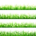 Green grass and chamomiles in the nature. EPS 10 Royalty Free Stock Photo