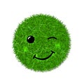 Green grass circle field 3D. Face wink smile. Smiley grassy emoticon icon, isolated white background. Smiling sign