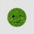 Green grass circle field 3D. Face wink smile. Smiley grassy emoticon icon, isolated white transparent background